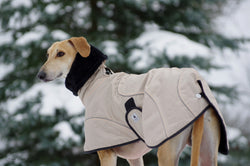 Dog coat sighthound Beige Urban elegant