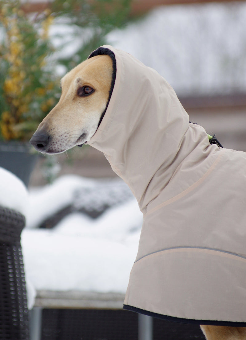 Sighthoound coat beige urban elegant faux fur  inside