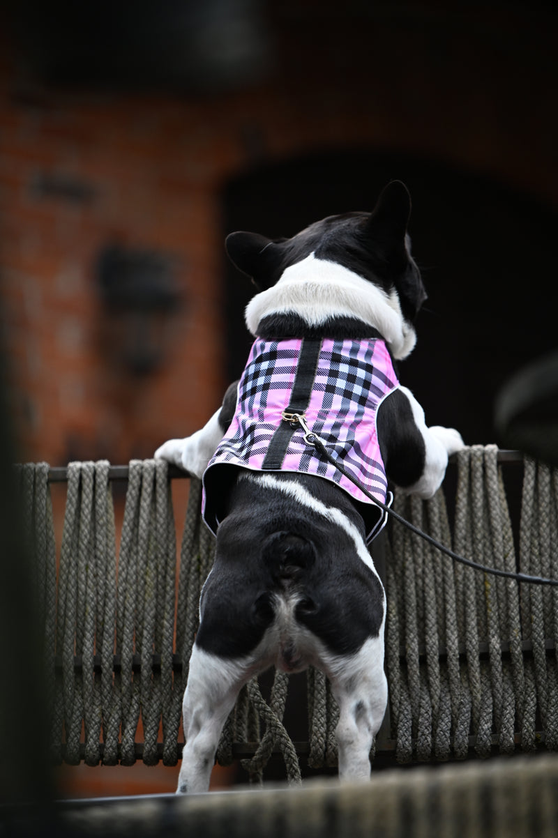 Pink Tartan Harness Coat