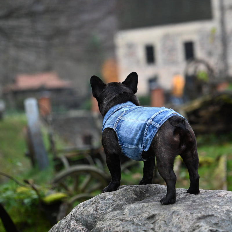 bad ass jeans jacket