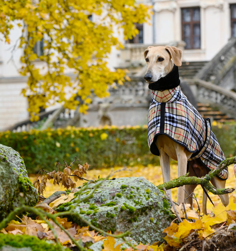 Camel Tartan Sighthound Coat