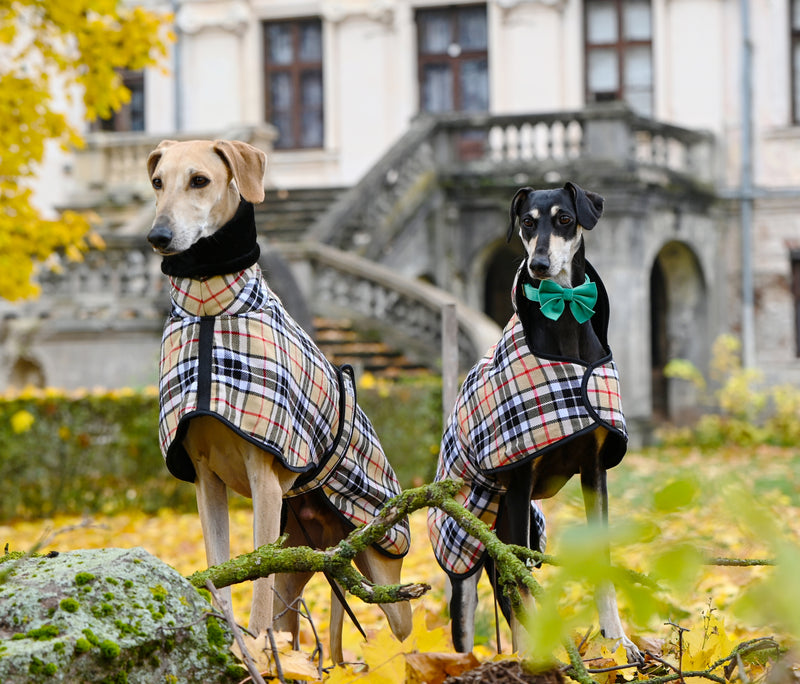 Camel Tartan Sighthound Coat