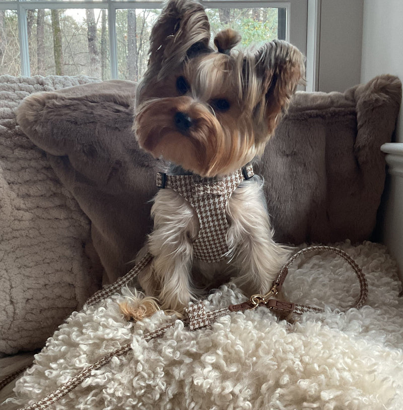 LUXURY Beige Pepita Harness