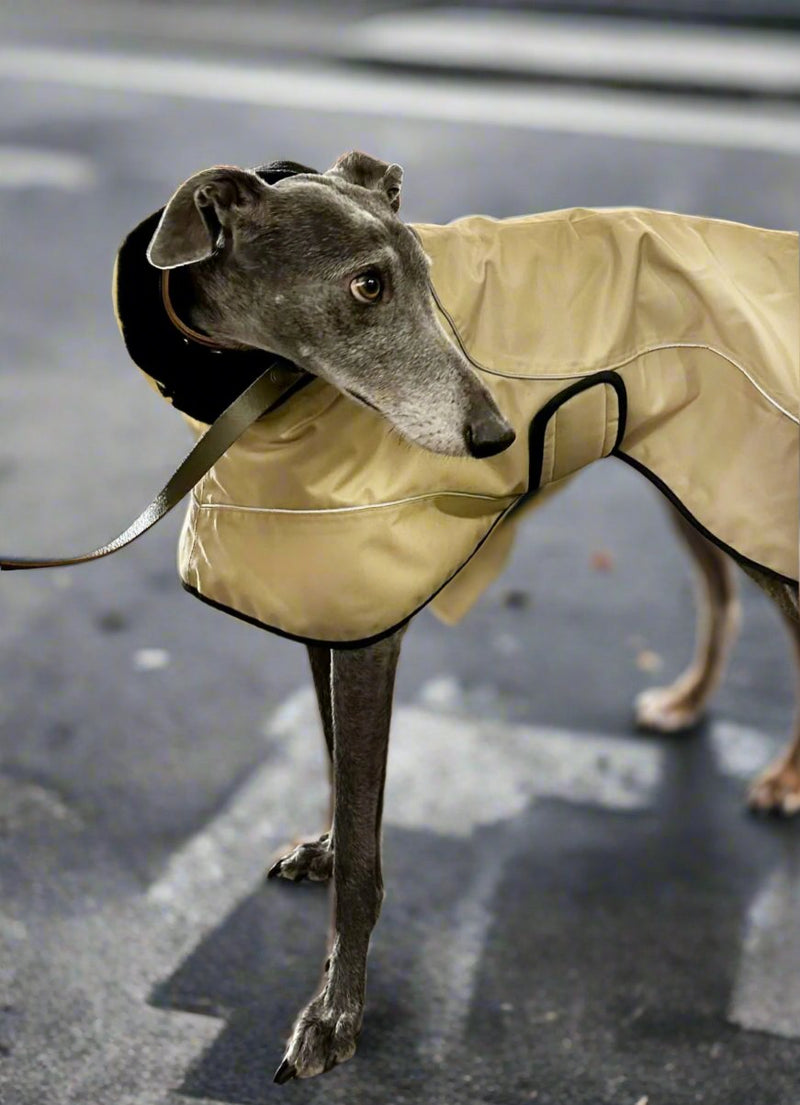 Beige Waterproof Urban Coat