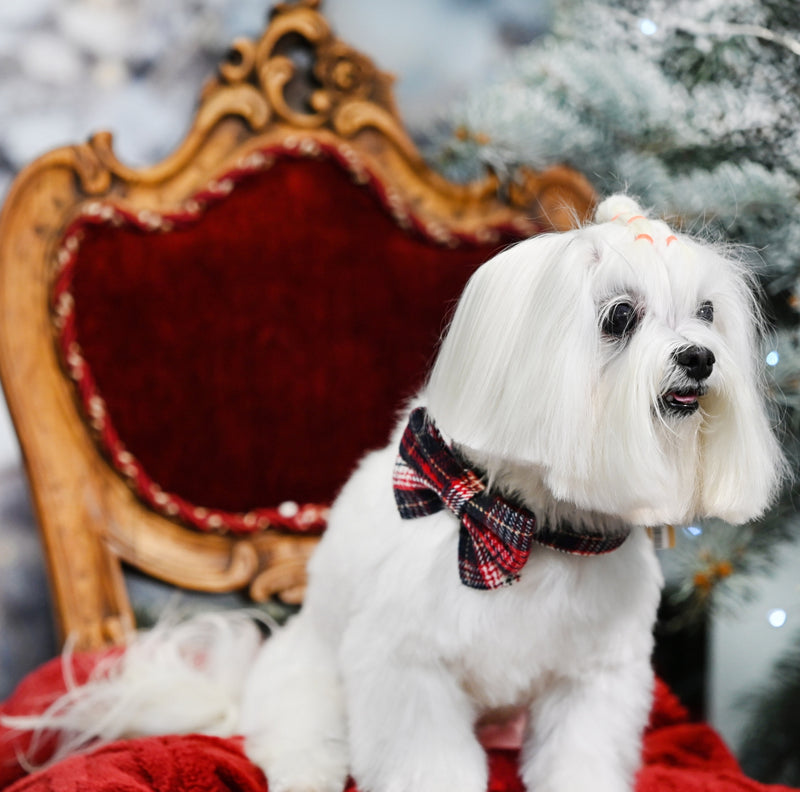 Red Tartan Bow tie