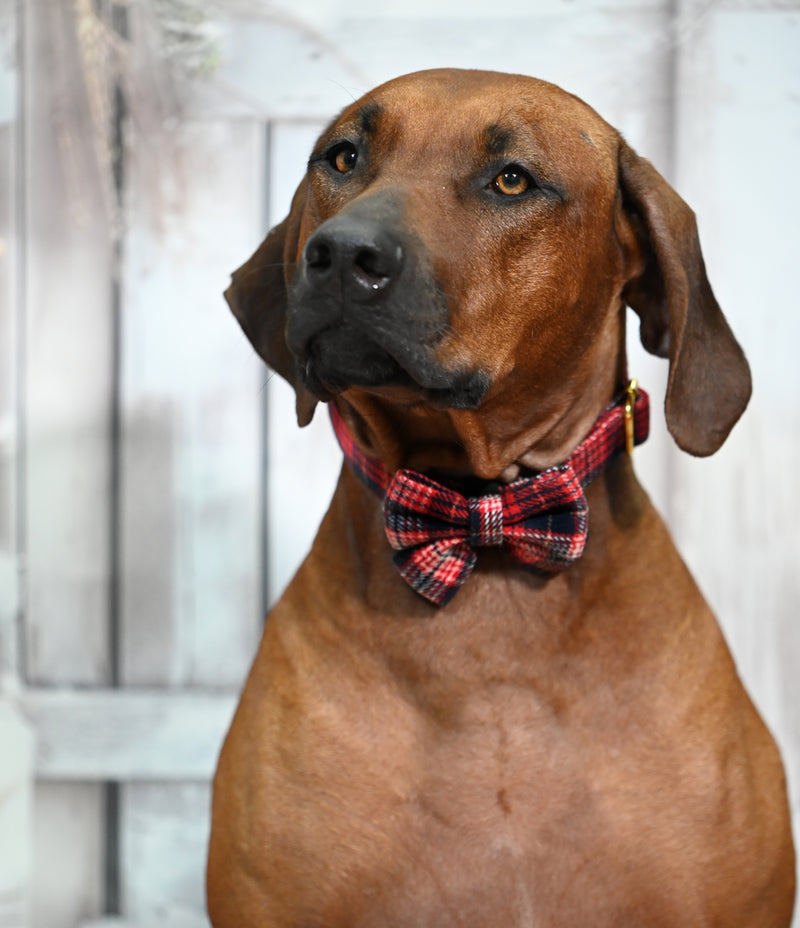 Red Tartan Bow tie