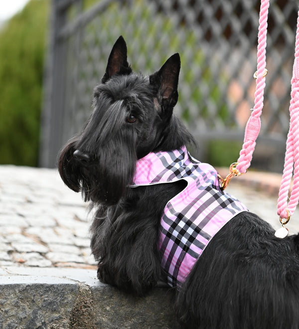 Pink Tartan Harness Coat