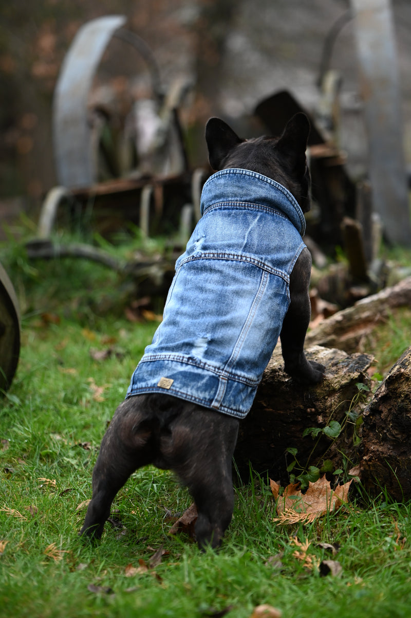 Dog Jeans Jacket