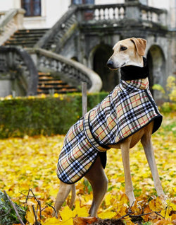 Camel Tartan Sighthound Coat