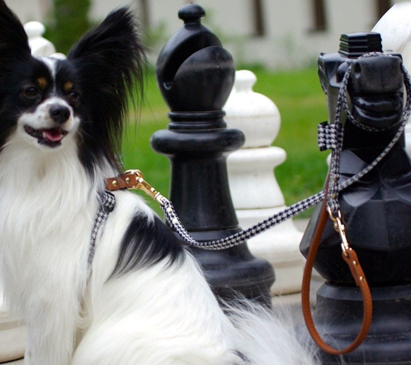 KANDOG luxury 3 tiered adjustable leather harness for small dog to lar –  kandog