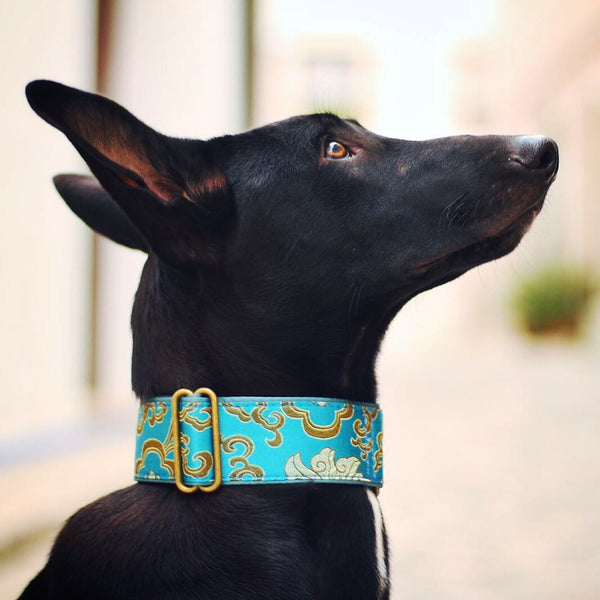  Pet Perfect Luxury Dog Collar Dog Gift - Italian