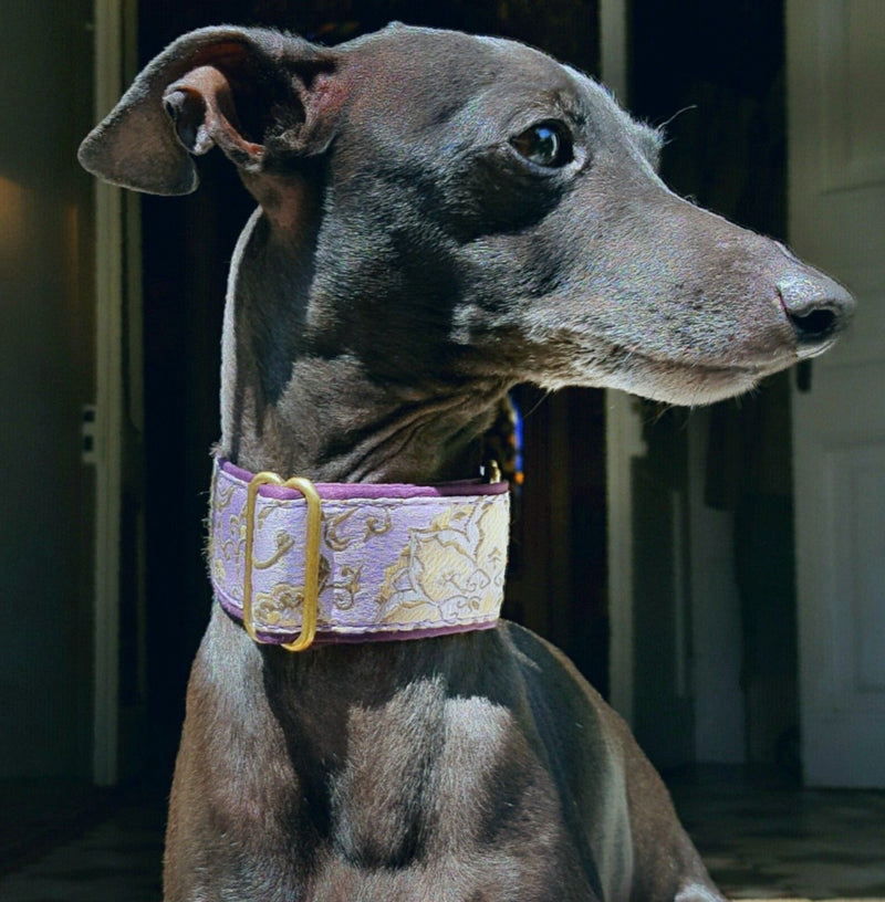 Italian Dog Collars – Guidogear