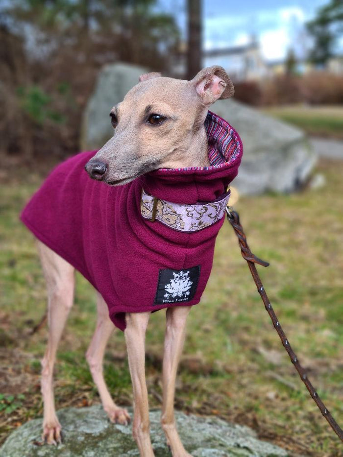 Italian greyhound fleece hotsell