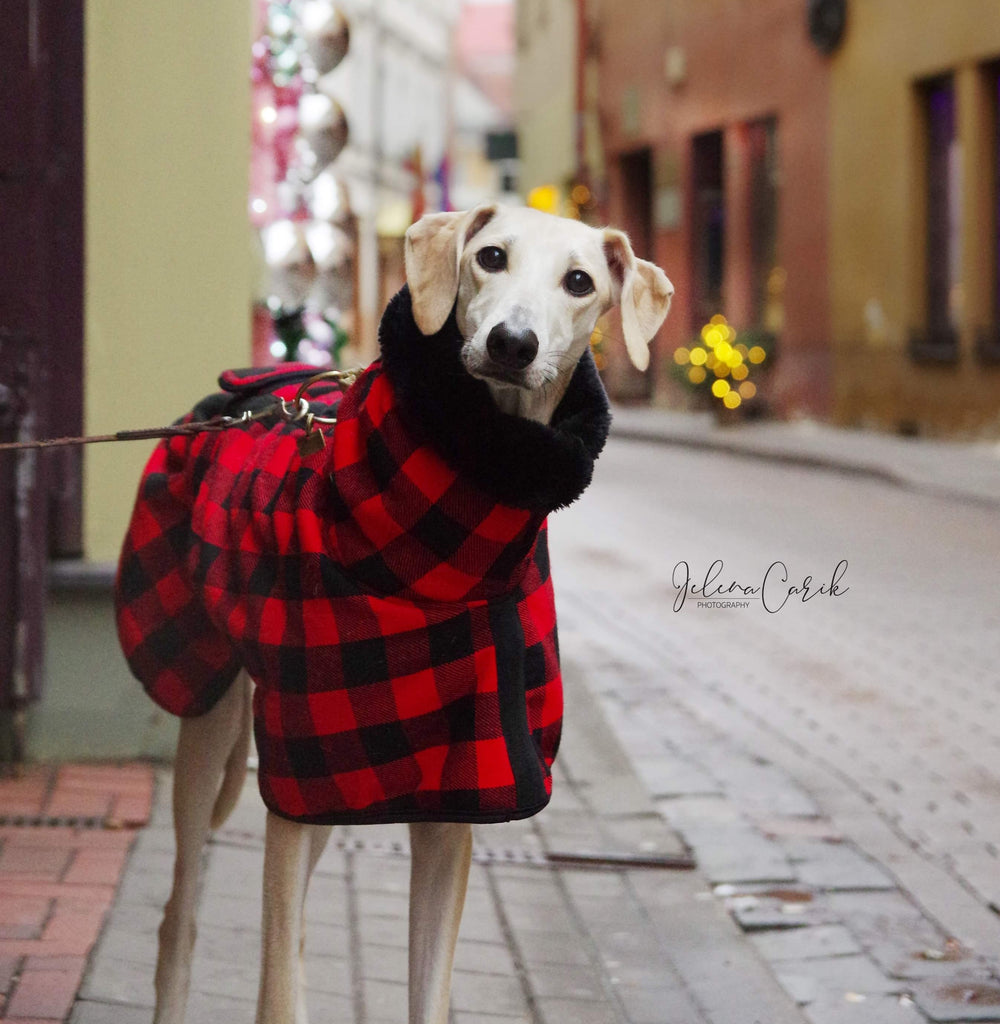 Buffalo plaid best sale dog coat