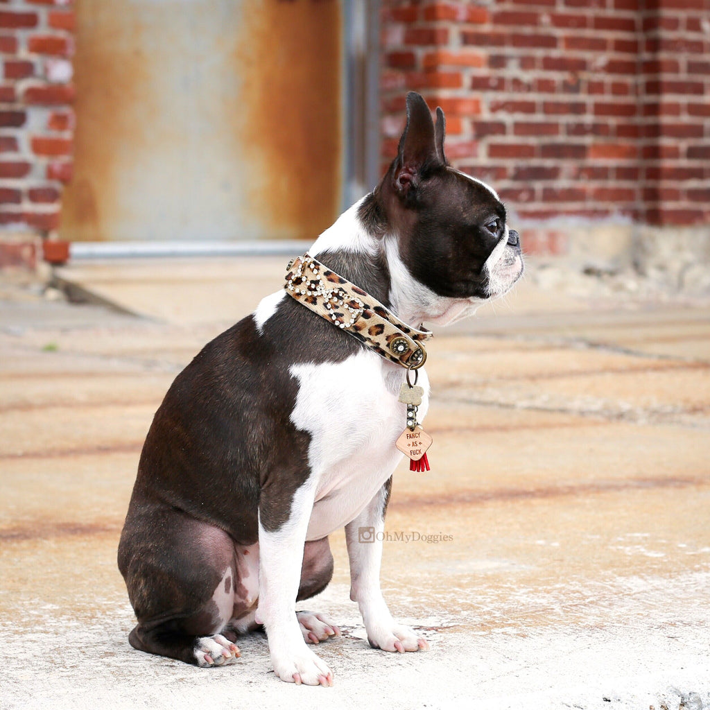 British Bulldog Leather Dog Collars - Fleece Dog Harnesses